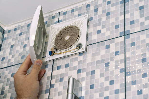 Best Air Duct Mold Removal  in Bridgman, MI