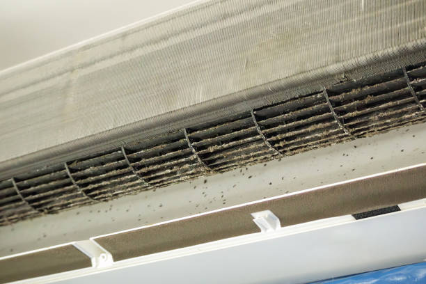Best Air Quality Test  in Bridgman, MI